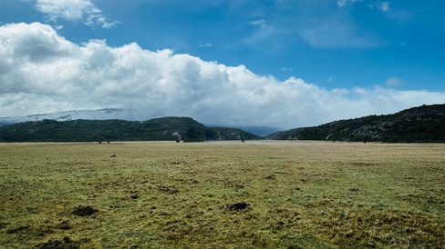 HX Hurtigruten Pole to Pole
