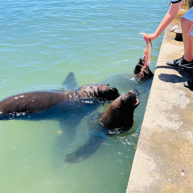 Punta del Este, Uruguay