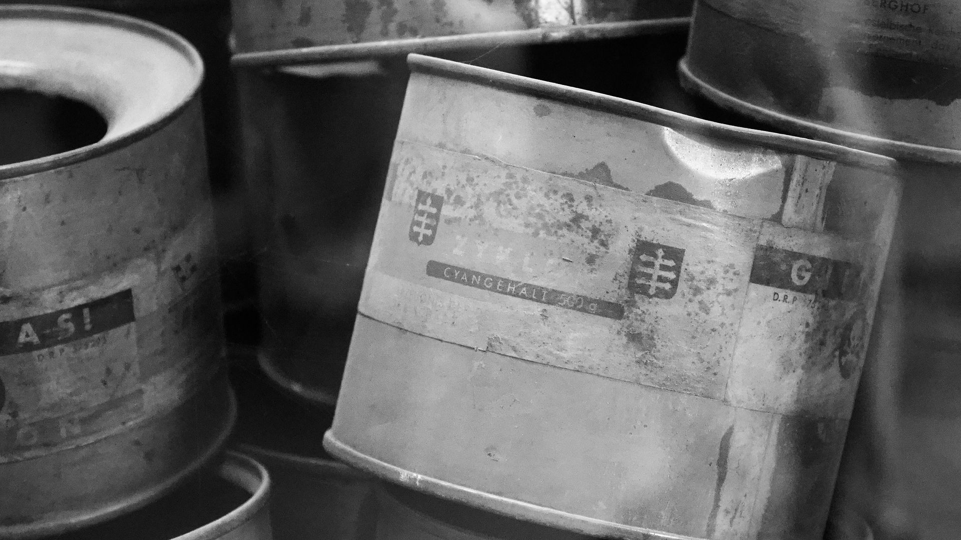 Auschwitz-Birkenau: 1.1 Million Walked In and Never Walked Out