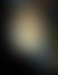 Visiting the Falkland Islands