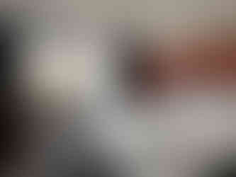 The Elegant City of Bordeaux