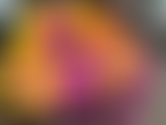 HX Hurtigruten Pole to Pole