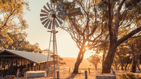 Farm Business Resilience Plan