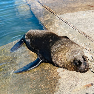 Punta del Este, Uruguay