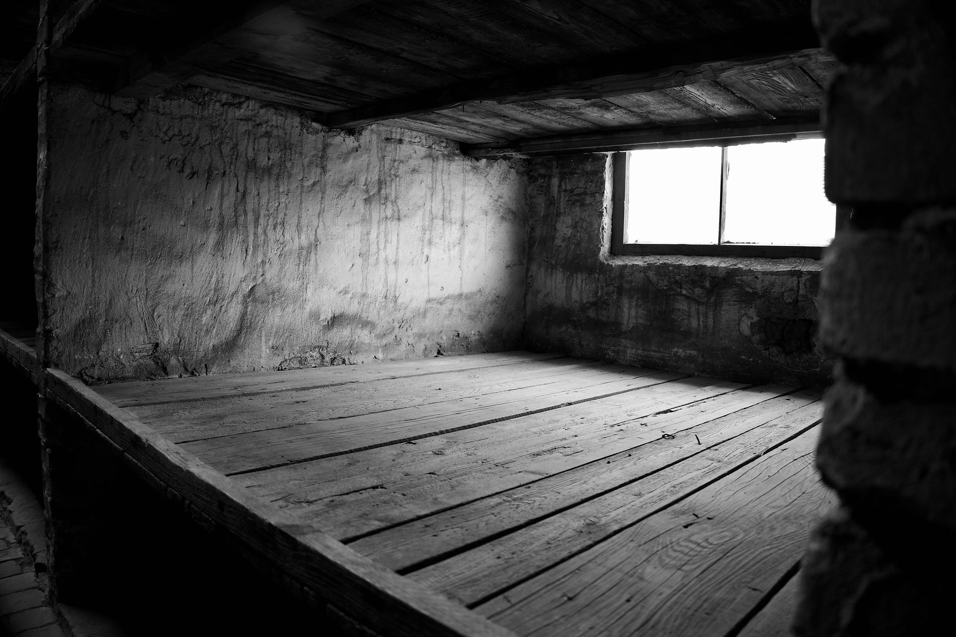 Auschwitz-Birkenau: 1.1 Million Walked In and Never Walked Out