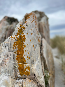 Visiting the Falkland Islands