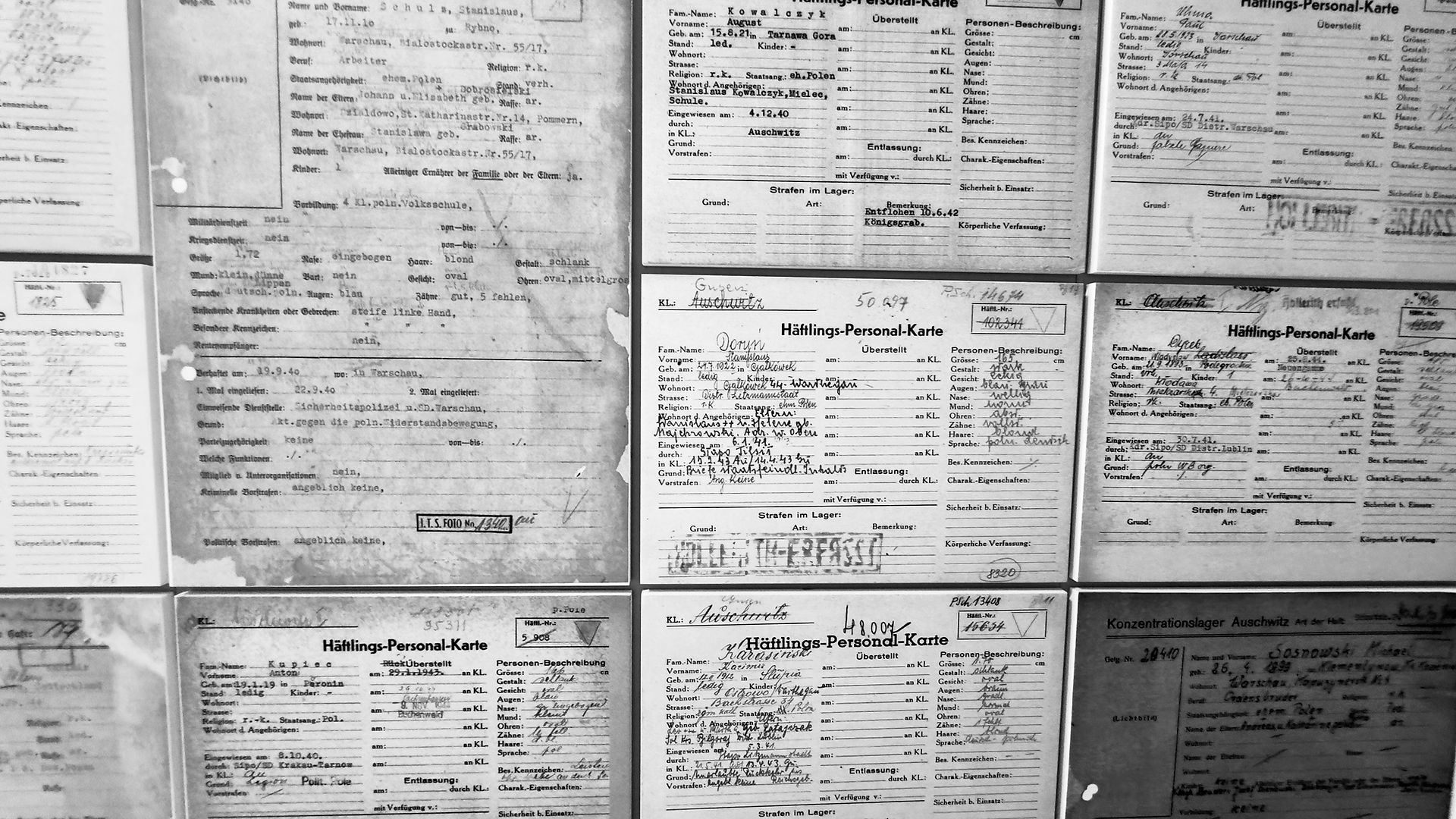 Auschwitz-Birkenau: 1.1 Million Walked In and Never Walked Out
