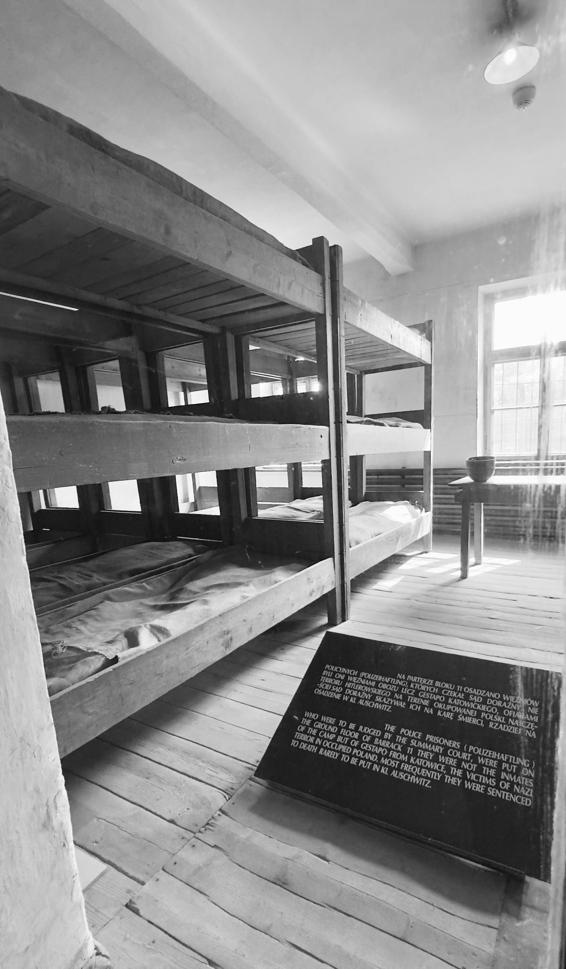Auschwitz-Birkenau: 1.1 Million Walked In and Never Walked Out