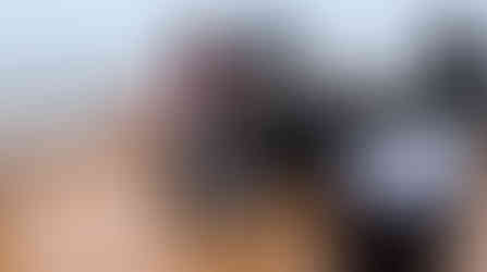 HX Hurtigruten Pole to Pole