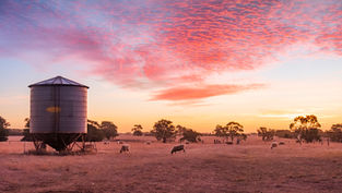 NSW Drought Loans