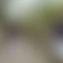 Funchal Madeira - Portugal