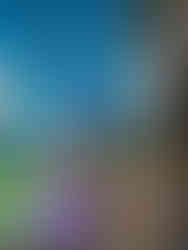 HX Hurtigruten Pole to Pole