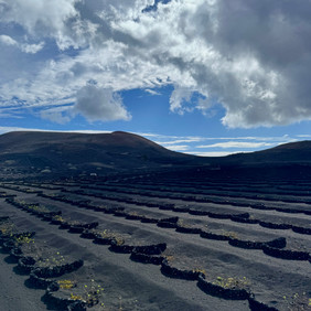 Lanzarote Canary Islands