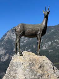 Bohinj - Slovenia
