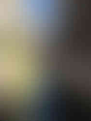 The Elegant City of Bordeaux