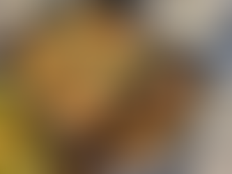 HX Hurtigruten Pole to Pole