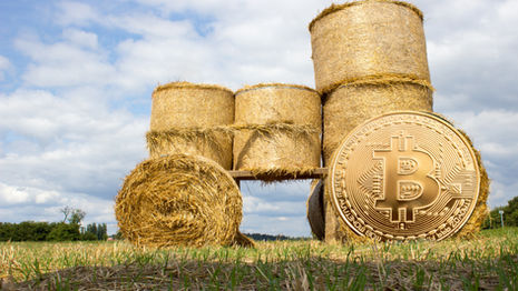 Cryptocurrency