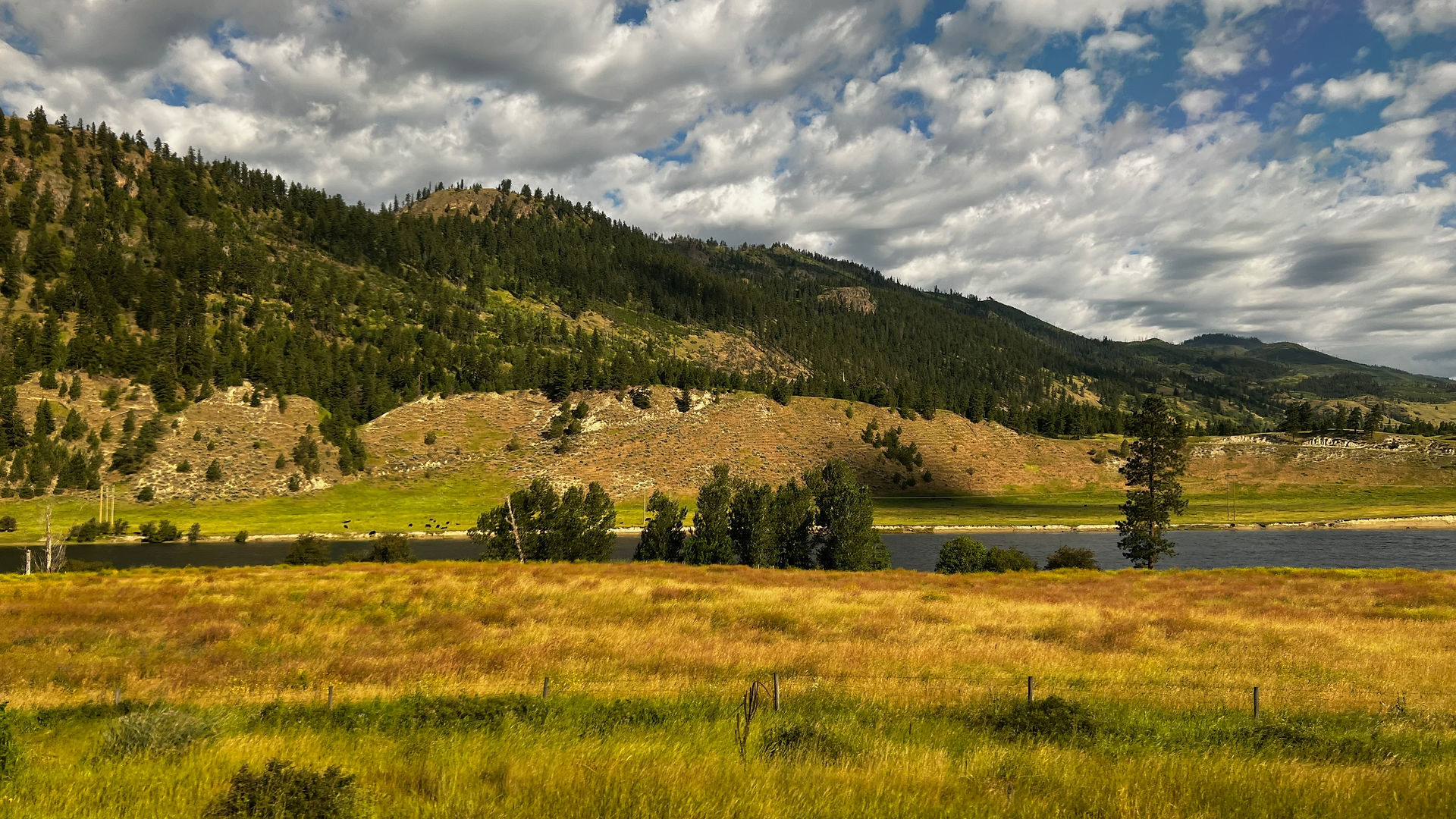 Rocky Mountaineer Train