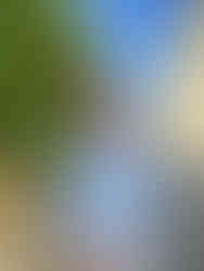 Enchanting Saint Emilion