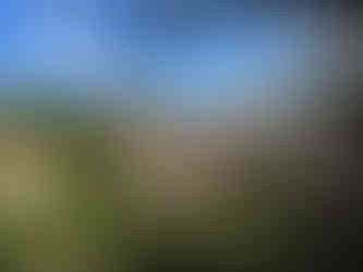 Enchanting Saint Emilion