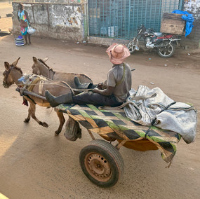 The Gambia: Africa's Smallest Gem