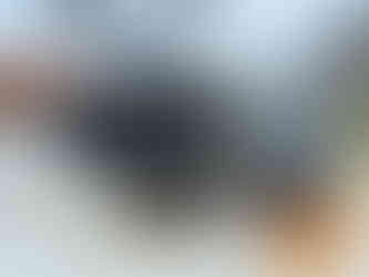 Sailing Into Bermuda