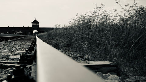 Auschwitz-Birkenau: 1.1 Million Walked In and Never Walked Out