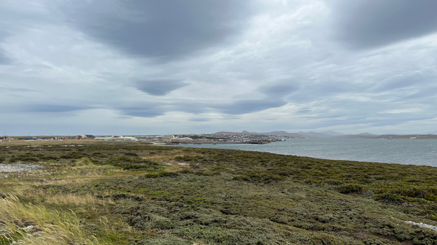 Visiting the Falkland Islands