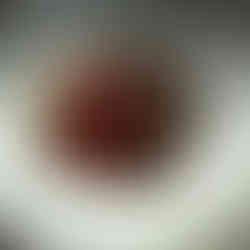 Enchanting Saint Emilion