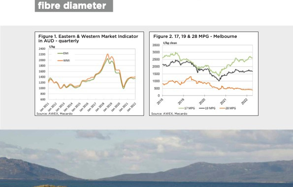 Rural Q1 2022 Market Insights
