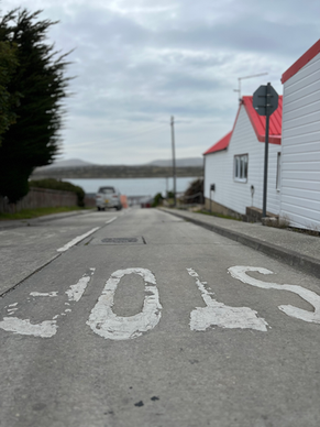 Visiting the Falkland Islands