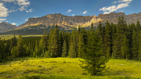 Rocky Mountaineer Train