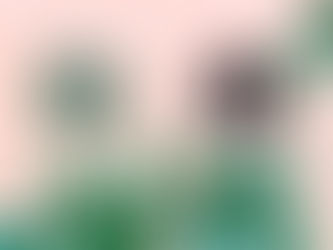 Check out our TikTok!