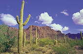 Mexico 013.webp