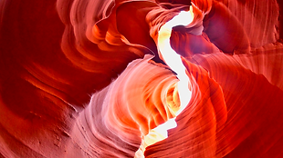 Antelope 013.png