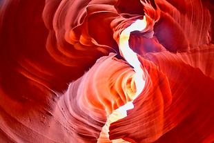 Antelope 013.png