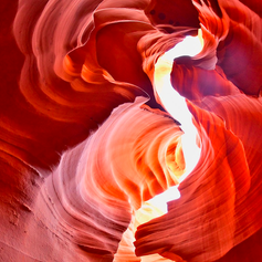 Antelope 013.png