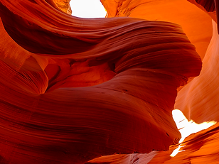 Antelope 021.png
