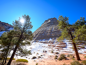 Zion 002.png