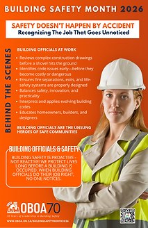 Week 2 RAISING THE PROFESSIONAL PROFILE OF A BUILDING OFFICIAL .png