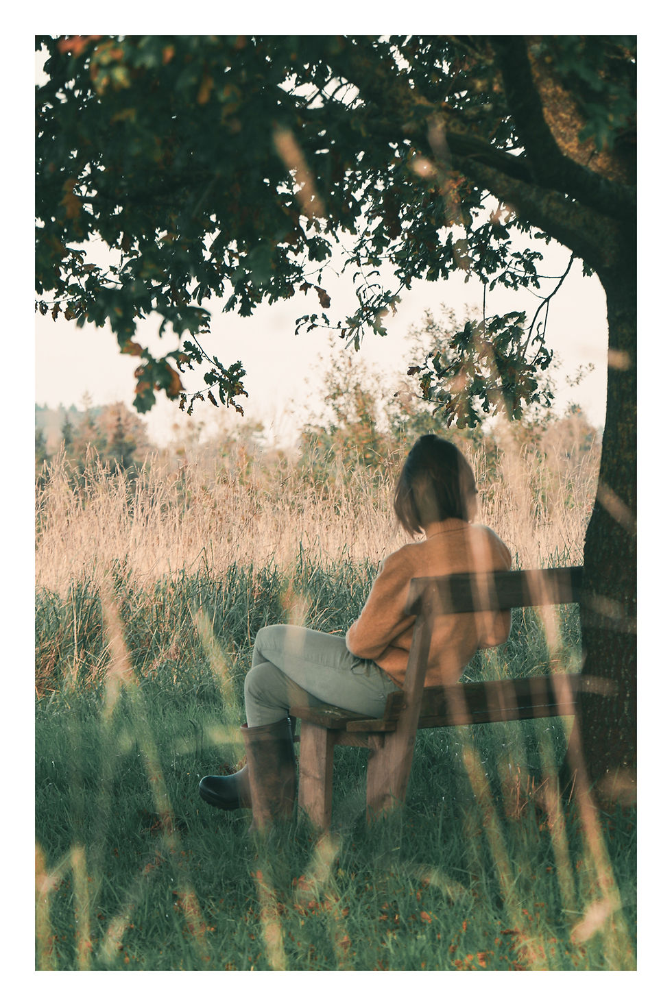 Tirage d’art – À l’ombre d’un chêne