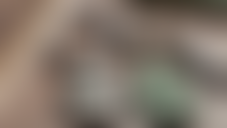 Comprehensive Landlord Services