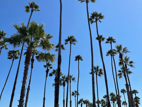 ITINERARIO DELLA CALIFORNIA
