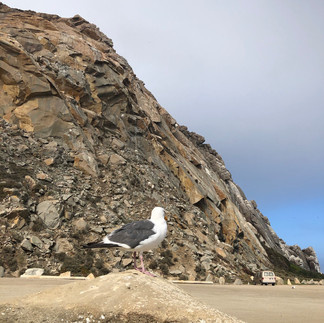 Morro Bay