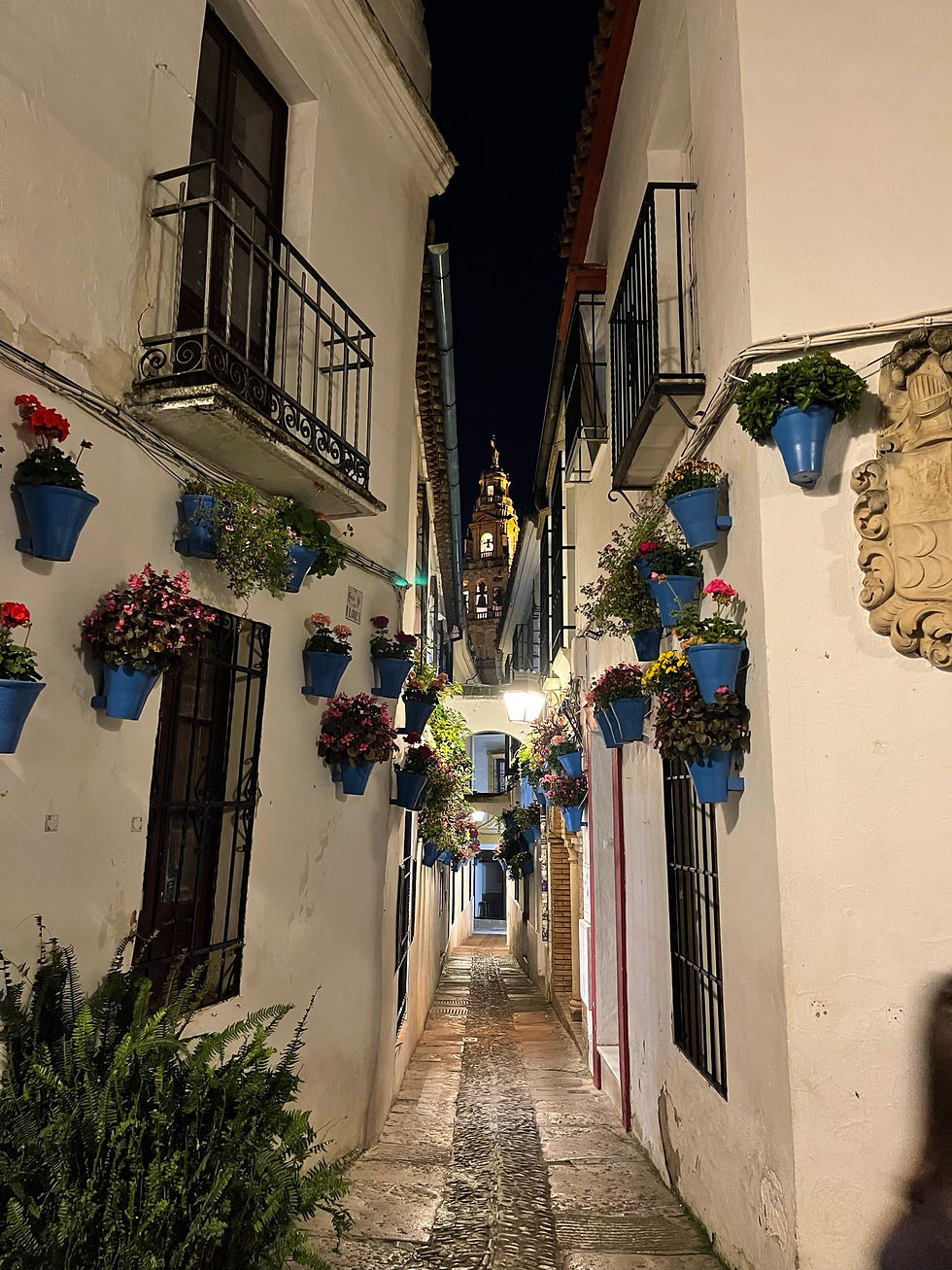 ITINERARIO DELL' ANDALUSIA