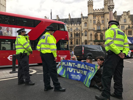 Announcement Of New Prime Minister Disrupted By Supporters Of Animal Rebellion