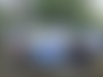 Animal Rebellion Declares Pause To Action Amidst Announcement Of The Death Of Queen Elizabeth II