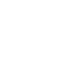Phosporus-white.png