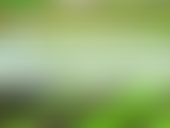 Unlocking the Potential of Nitrogen-Fixing Bacteria in Sustainable Agriculture