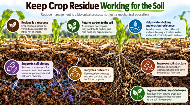 Image: How Crop Residue Supports Soil Health